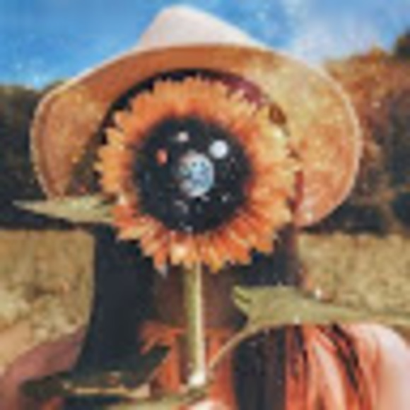 Meet your Posher, Sammy - Picture 1 of 1